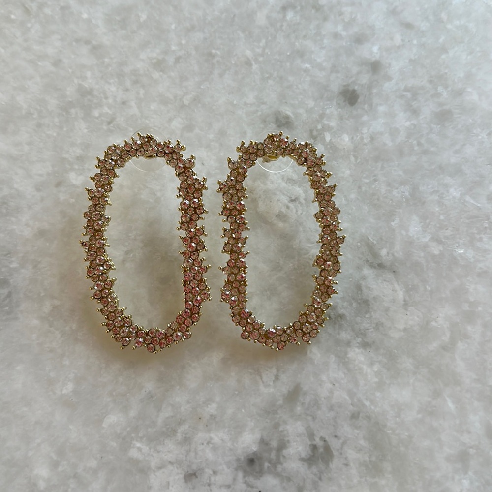 Sold out!! VICI earrings